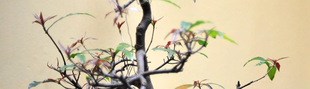 summarize everything